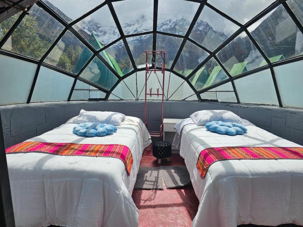 Salkantay starcamp, Anta