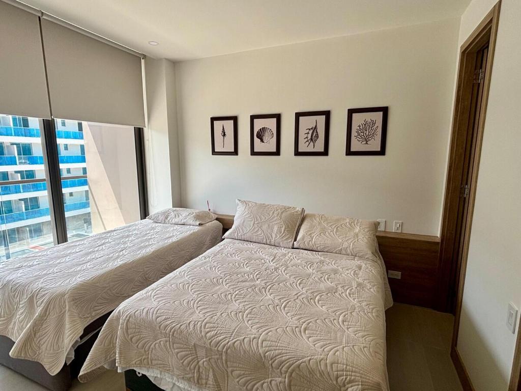 Beachfront Stay Morros EOS - 5