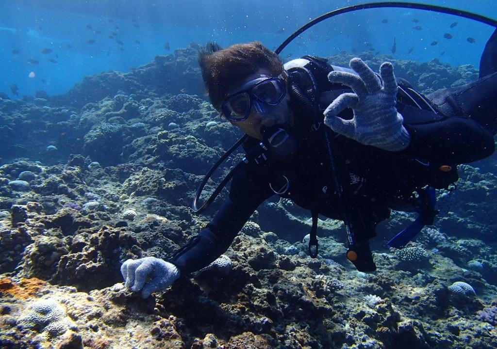 Sports and activities