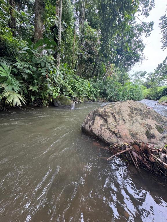 Quinta San Carlos - 3