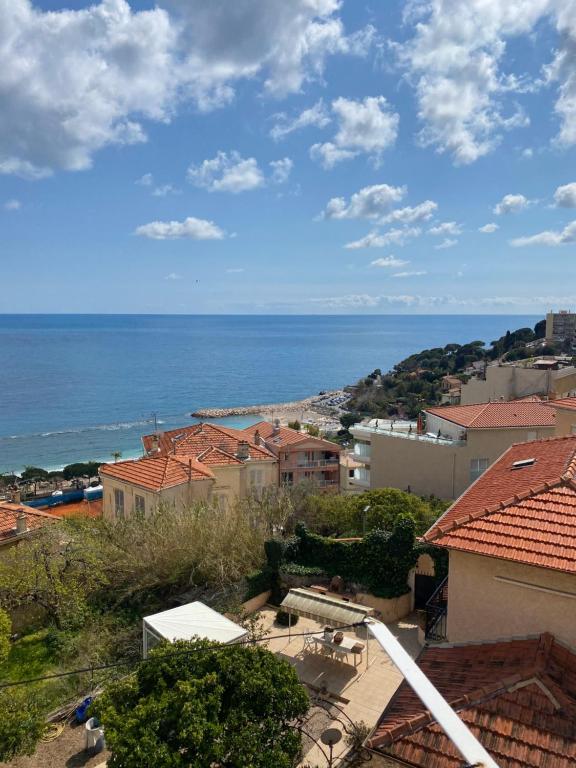 2 pièces vue mer aux portes de Monaco - 1
