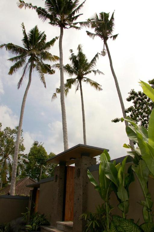 Villa Padma Ubud photo