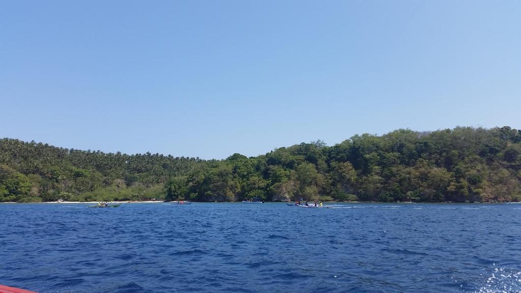 Surrounding environment