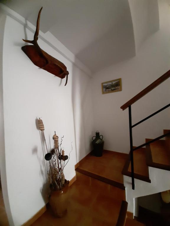 Casa Rural El Solarillo - 2