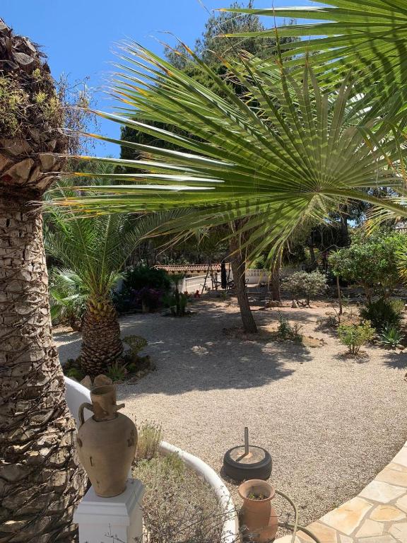 Casa El Jardin - 3