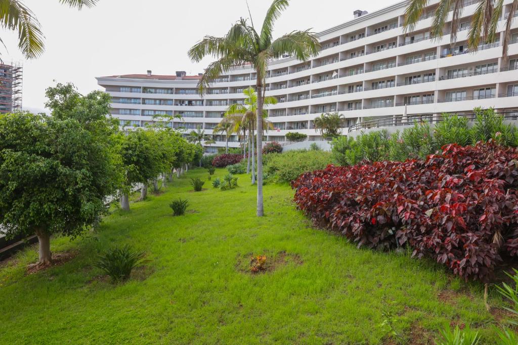BiBel Apartment, Funchal