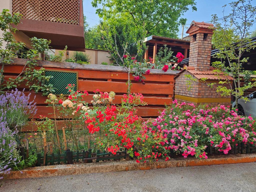 Villa Sarajevo gardens - 2