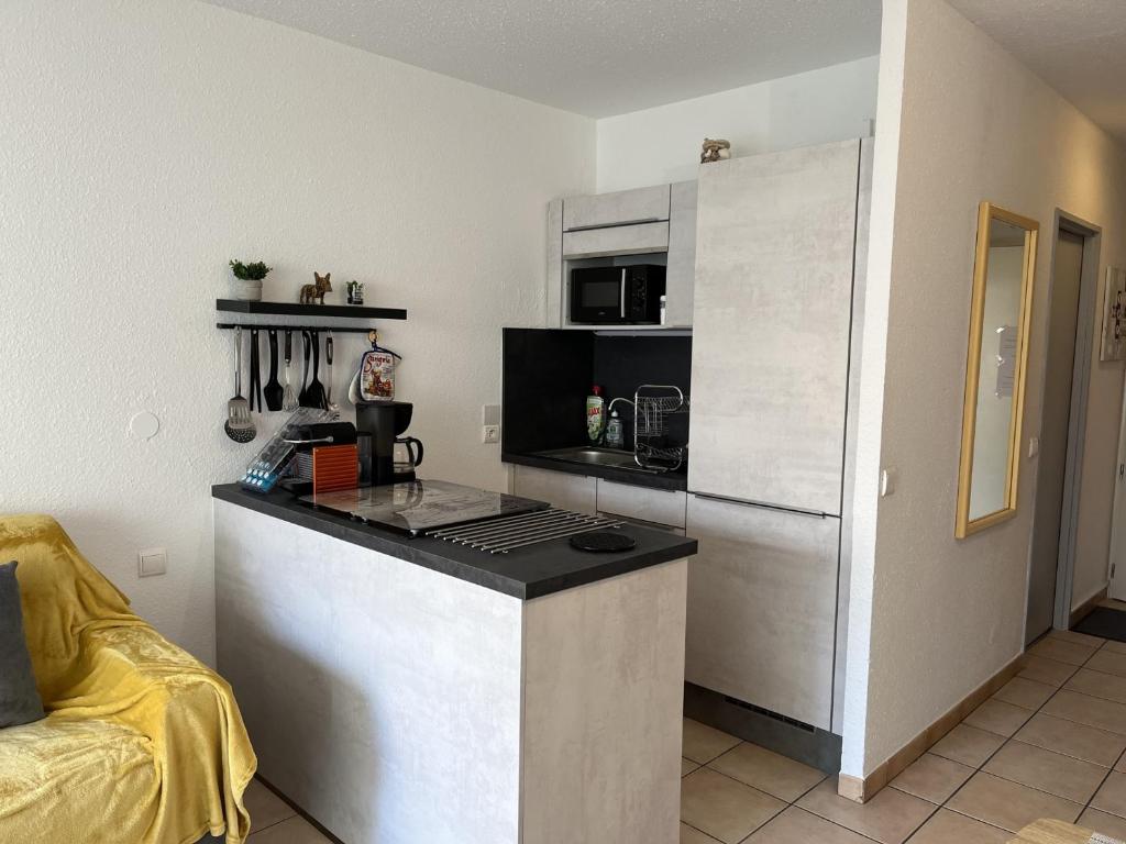 Studio Climatisé 2/3 P. Proche Plage et Commerces - FR-1-466A-55 - 4