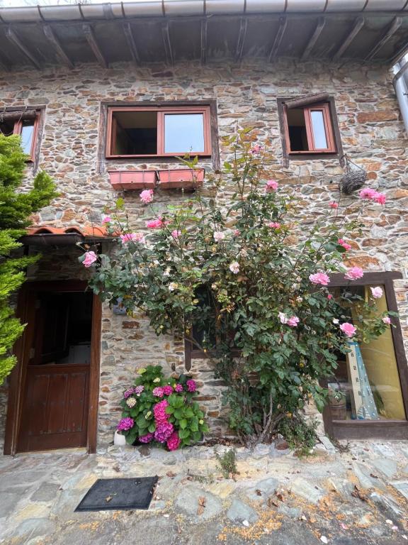 Minimalista, Cudillero