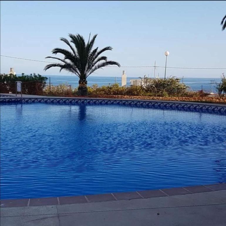 Buenavista - 3