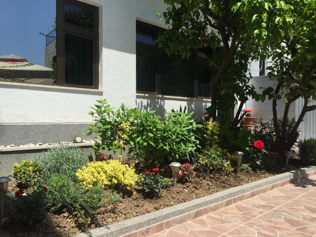 Surrounding environment