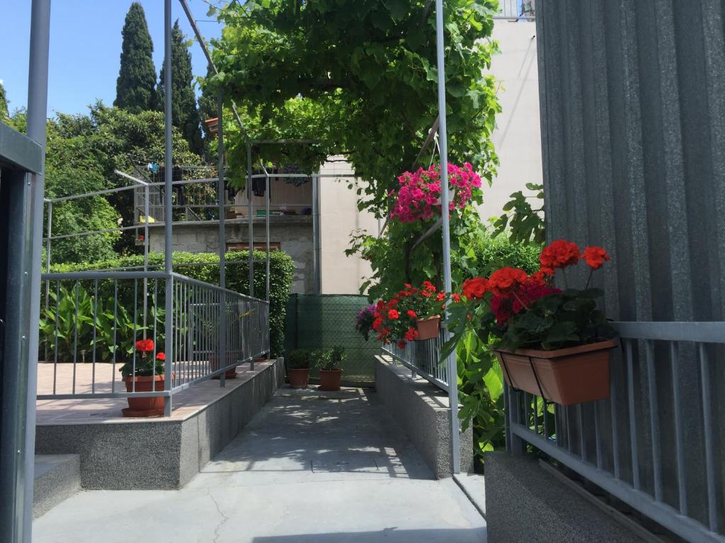Surrounding environment