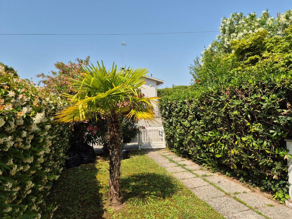 Villa Sandra - 1