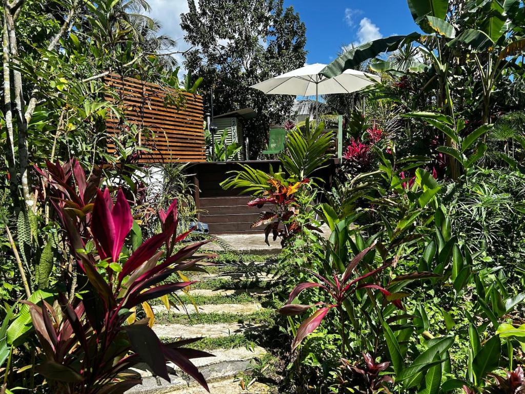 Magnifique gite, Lamentin