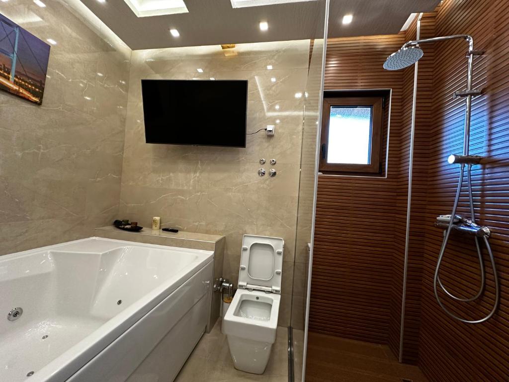 Villa with private lake - 4