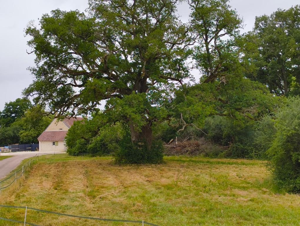 Gite l'ancien four à pain calme et douillet, Breteau