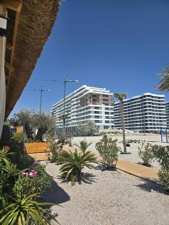 Lemooney studio in Axxis Nova, Mamaia