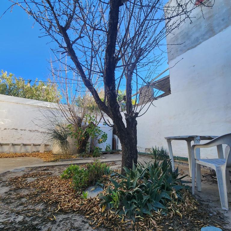 DELFINES del GOLFO - 3