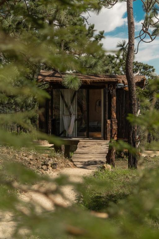 Very Muy Epico, San Lucas del Pulque