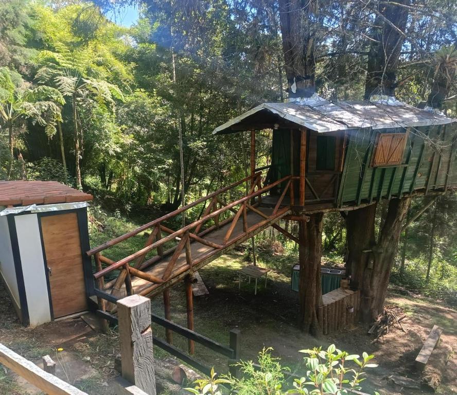 Casa en el Arbol - 2