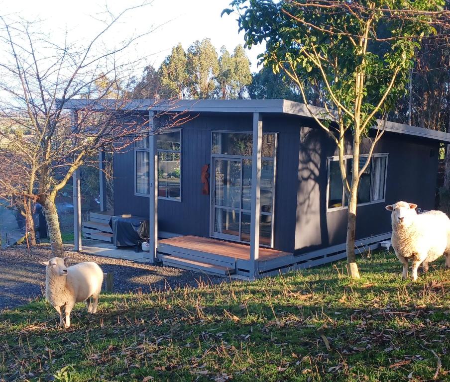 Little Forest Cabins No 3, Feilding