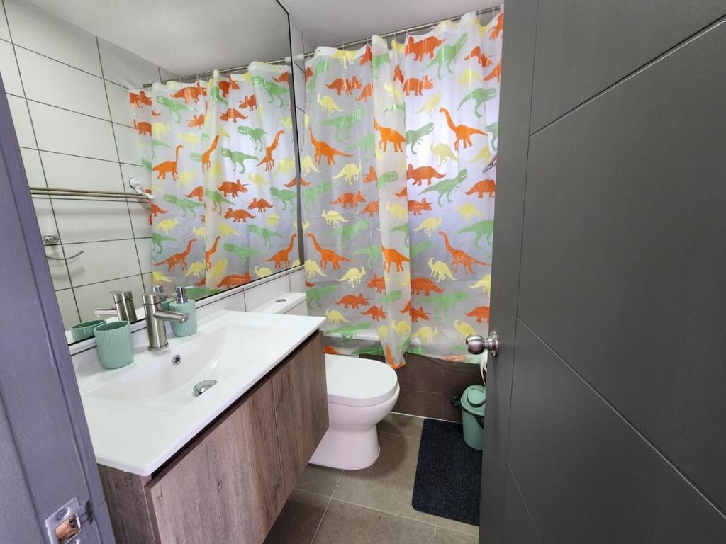 Full Accommodation in Villarrica - 5