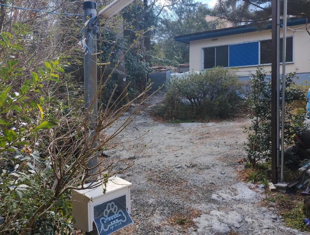 コテージinZYX ジィックス, Ito