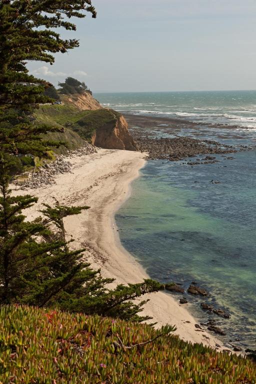 Seal Cove Inn photo