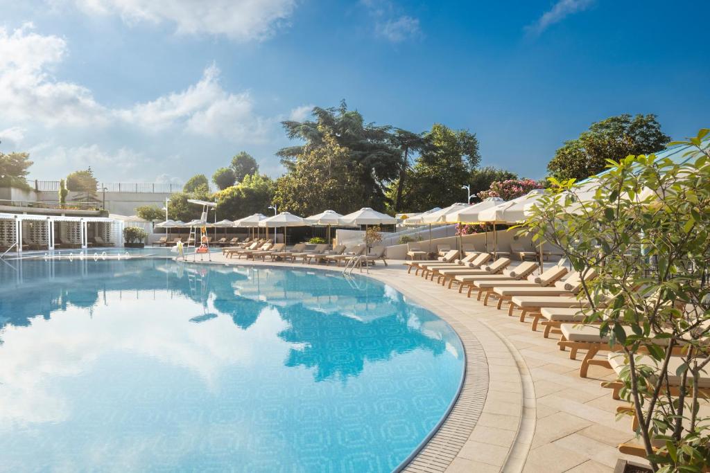 スイミングプール