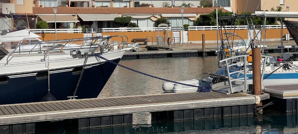 T2 cosy vue sur le port de plaisance - 3