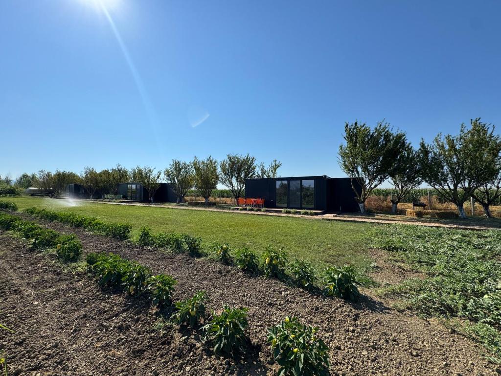 Te Vreshti - Container Home, Durrës