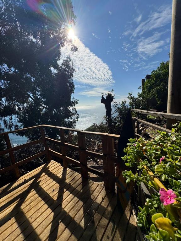 Casa en el arbol - 2