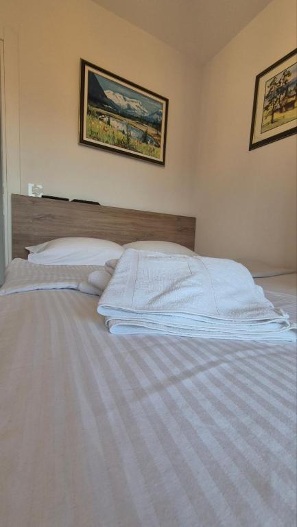 Apartman Tamjanika LUX - 2