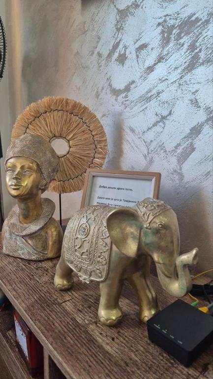 Apartman Tamjanika LUX - 5