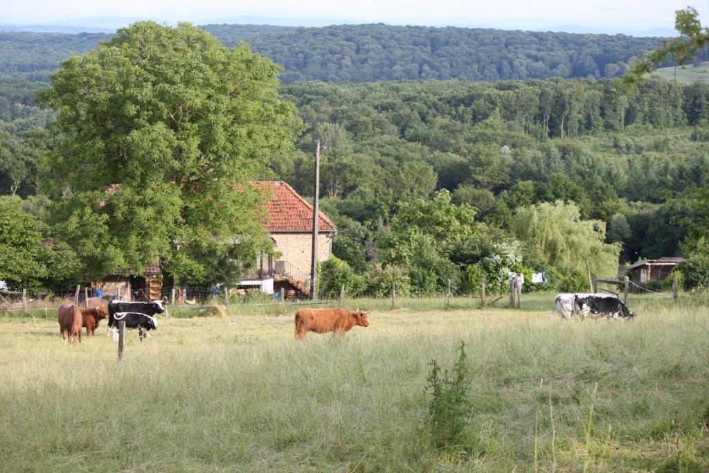Ferme Pedagogique " L'Bout d'Chemin" photo
