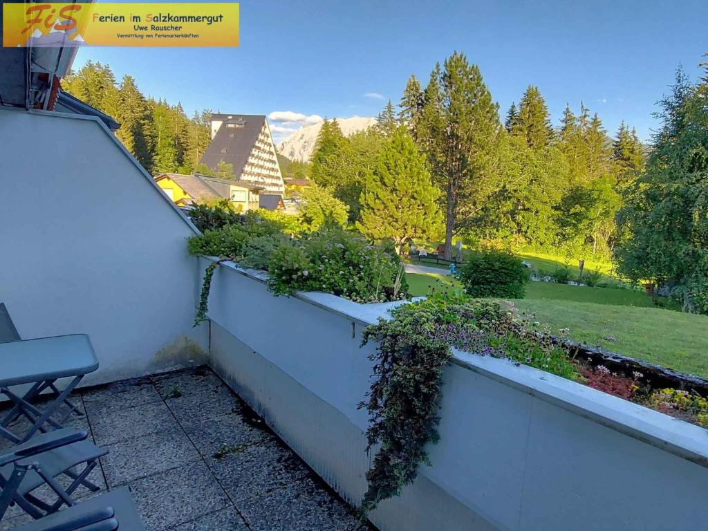 Studio in Bad Mitterndorf - Steiermark 41119 - 5