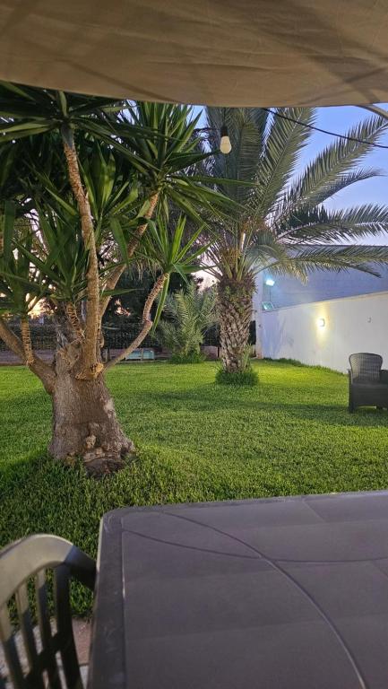 Villa Alfea CAMERE - 4