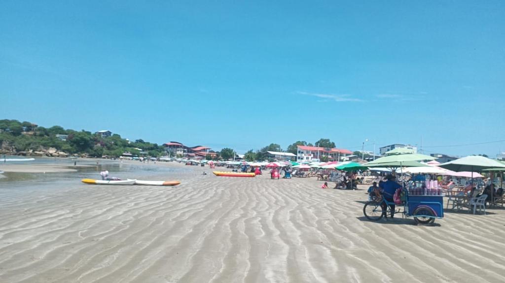 El encanto de los Olivo - 2