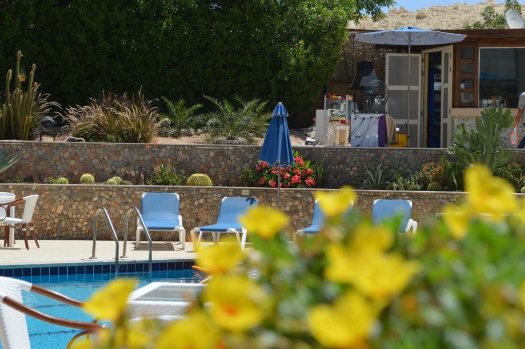 お料理のイメージ