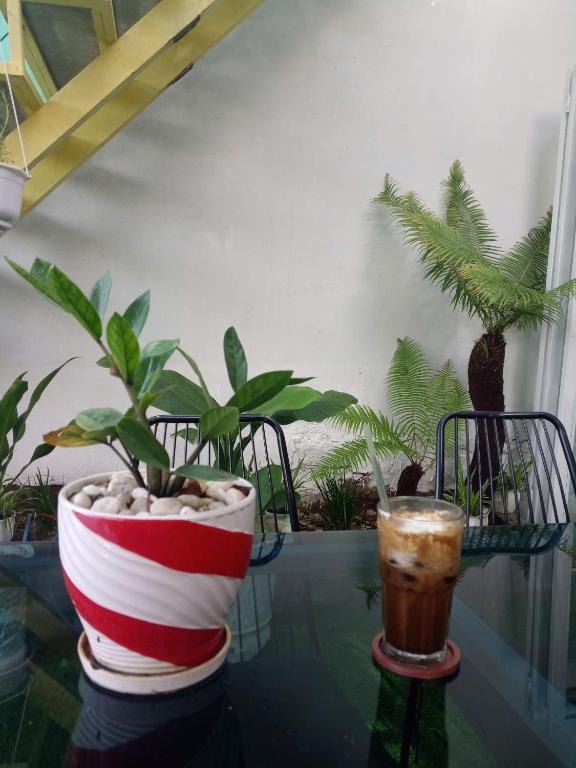 Homestay Golf & Coffee – Bi Phú Quốc