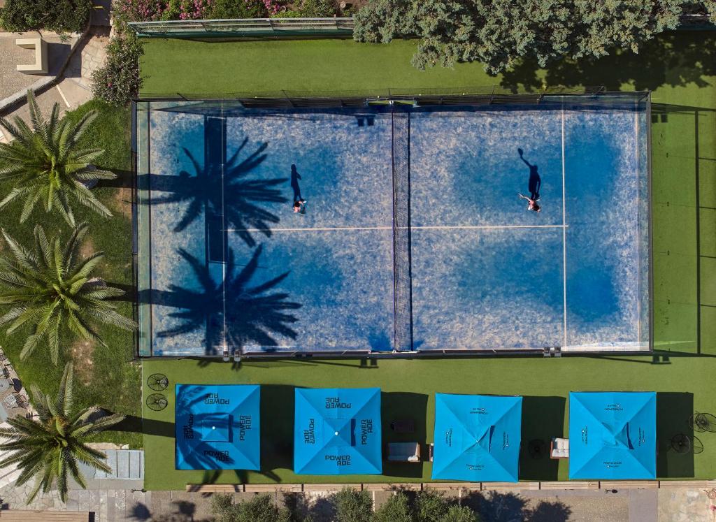 Tennis court