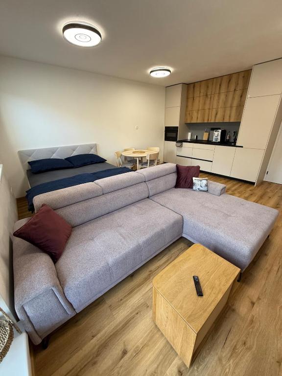 Visteria 10, České Budějovice