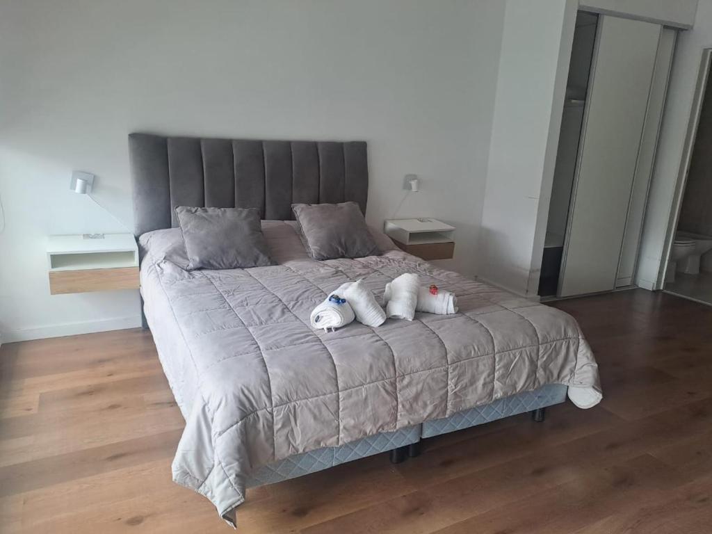 Belgrano amplio luminoso, cochera, WiFi, cerca River y Subte, 308 - 3