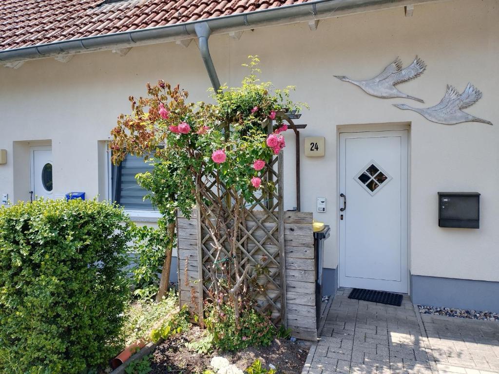Zur Wellenwiese 24, Zingst