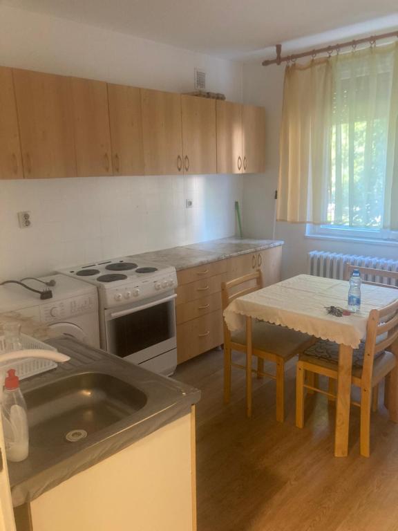 Apartment for Exit Festival 2025 - 1