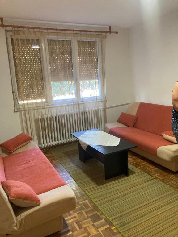 Apartment for Exit Festival 2025 - 5