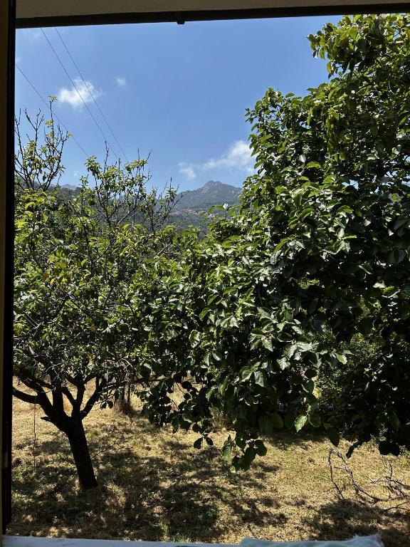 Da Davide, Marciana Marina