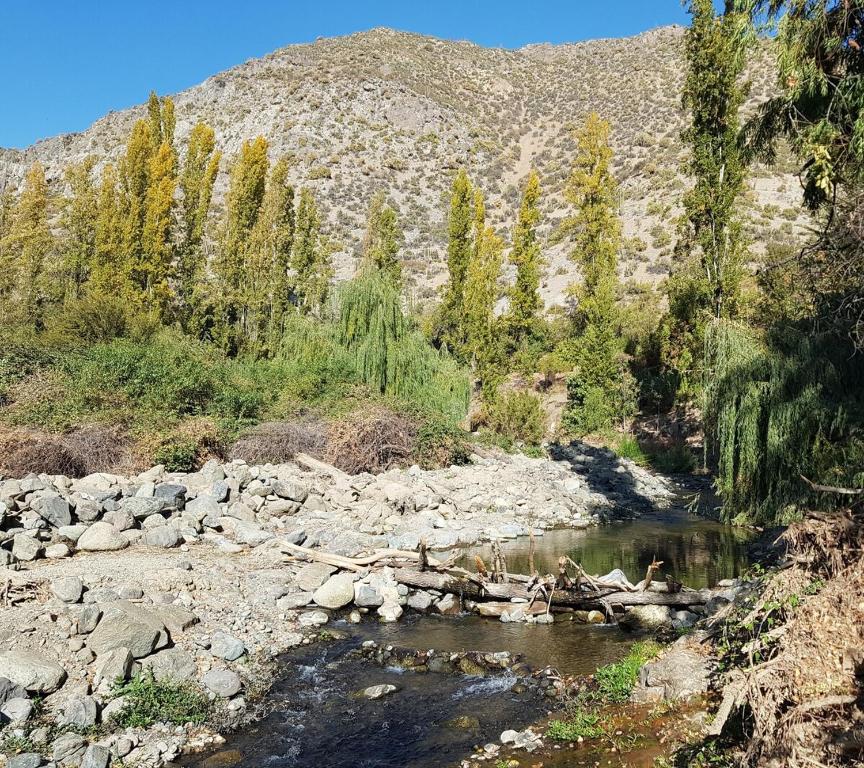 Gran Casa y Parcela de Campo y Montaña a 90 minutos de Santiago - 4