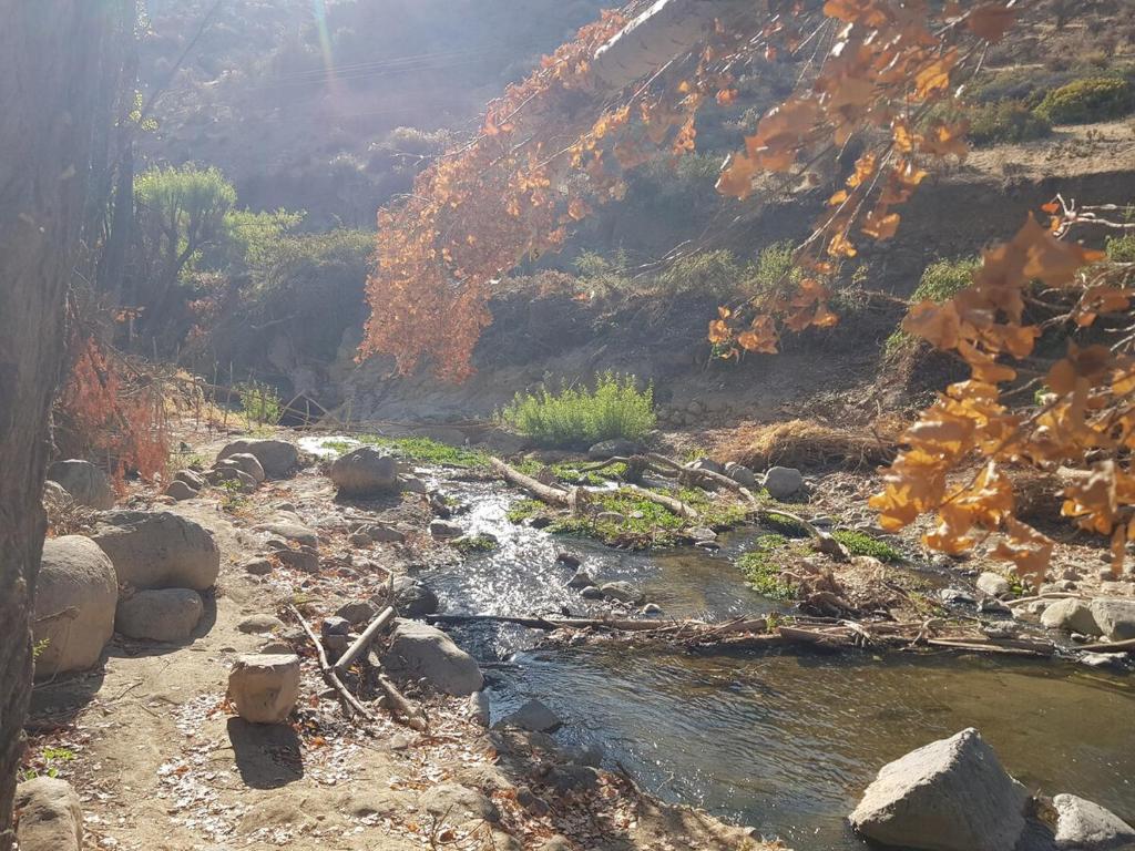 Gran Casa y Parcela de Campo y Montaña a 90 minutos de Santiago - 5