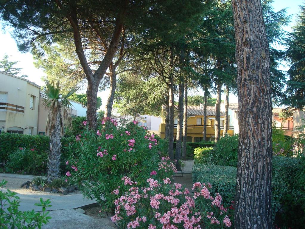 Cap Soleil - 5